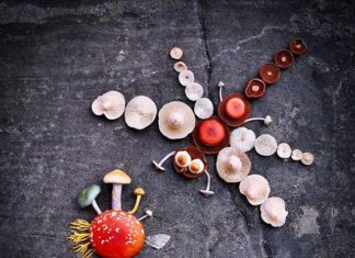 Creative Soul Finds Inspiration in Finnish Forest and “Paints” with Mushrooms