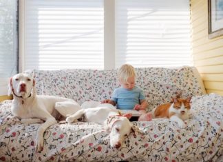 Abused Dog Is Afraid Of Everyone Except This Baby
