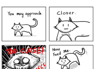 These Comics about Owning a Cat Are Too Honest and Hilarious