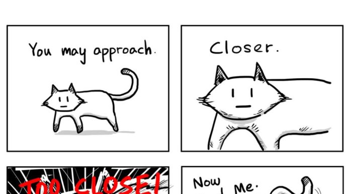 These Comics about Owning a Cat Are Too Honest and Hilarious