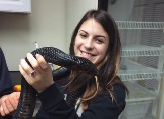 This Girl Has The Most Beautiful Reptiles You Never Knew Existed