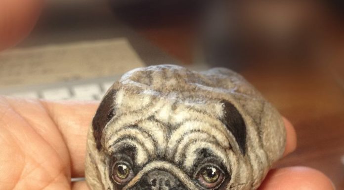This Artist Transforms Stones Into Miniature Animals