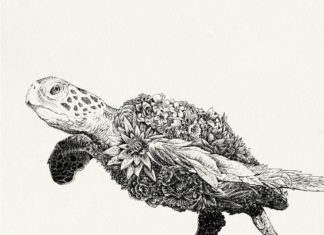 Artist Uses His Talent To Support Wildlife Conservation
