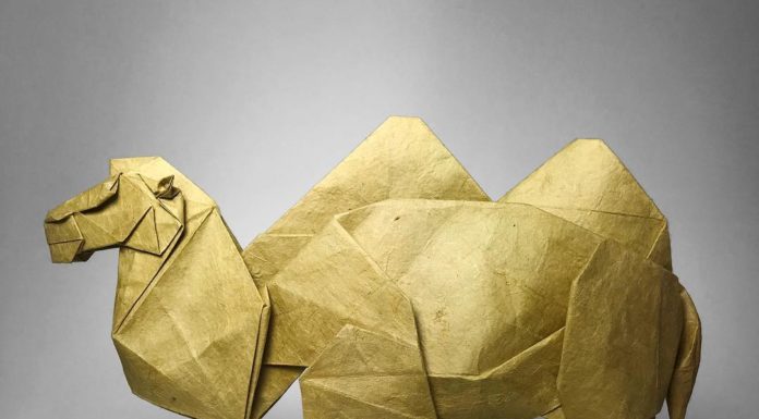 This Artist Creates Stunning Algorythmic Origami