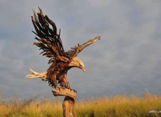 The Wooden Animals of Jeffro Uitto
