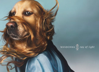This Photographer Recreates Madonna’s Iconic Covers With His Dog