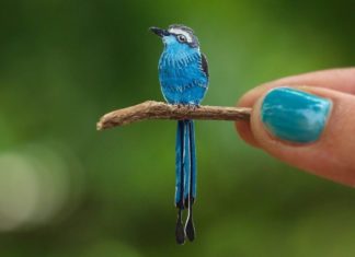 These Paper Works Represent Birds With Impressive Realism