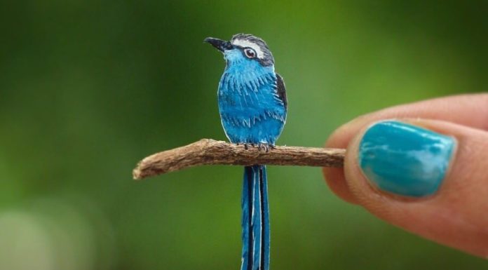 These Paper Works Represent Birds With Impressive Realism