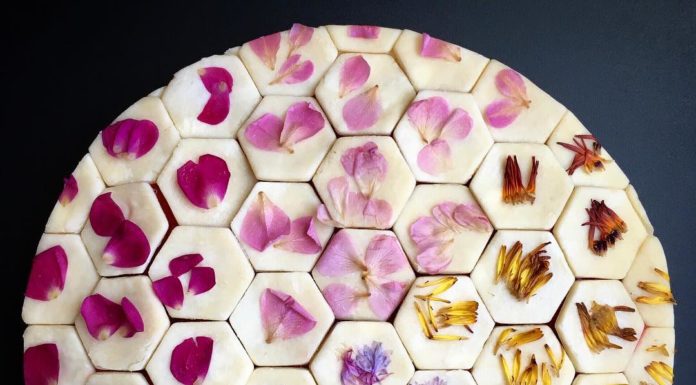 The Geometric Pies of Lauren Ko