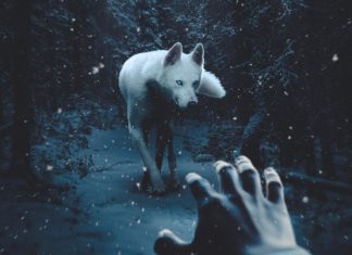 The surrealistic photos of Jeff Kepler