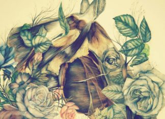 Flowers Blended With Animals in Graphite Paintings