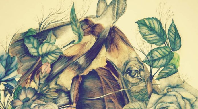 Flowers Blended With Animals in Graphite Paintings