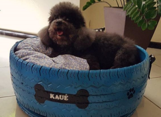 This Craftsman Transforms Tires into Cozy Beds for His Furry Friends