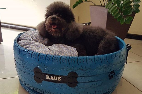 This Craftsman Transforms Tires into Cozy Beds for His Furry Friends