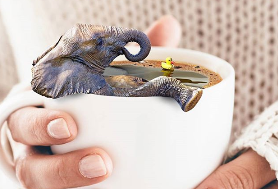 These Surreal Photos Blend the Ordinary with the Extra-Ordinary