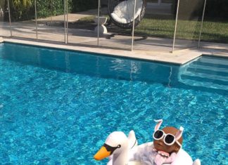 Meet the Beautiful Doll That Has Over 120k Followers on Instagram