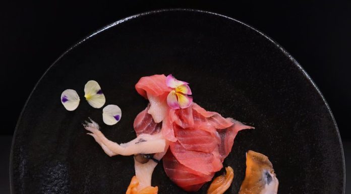 The Incredible Sashimi by Mikyou