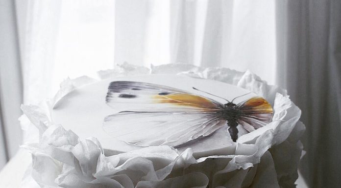 If Cakes Could Talk