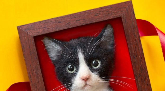 Japanese Artist Creates 3D Cats in Ultra Realistic Details