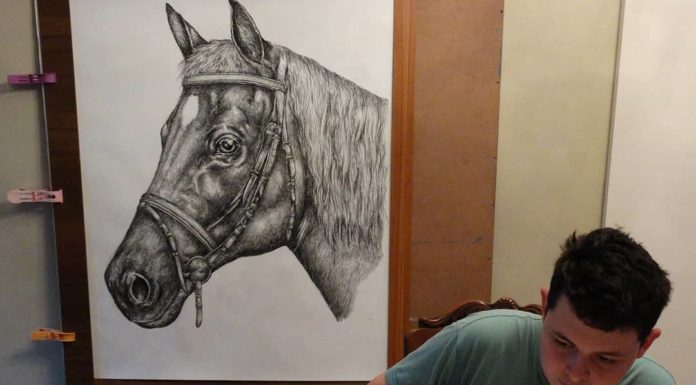 Teen Creates Impressive Animal Drawings from Memory