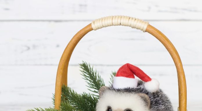 Russian Crafter Became Viral Thanks To Her Adorable Bird Toys Made Of Wool