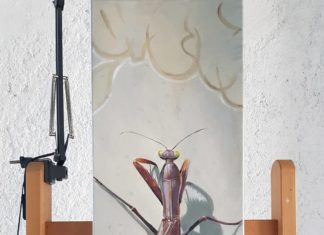 This Artist Brings Giant Insects To Life With Street Art