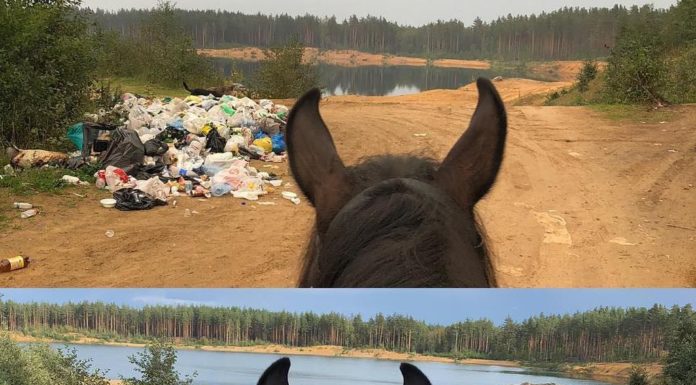 #TrashTag: The Hashtag We’ve All Been Waiting For