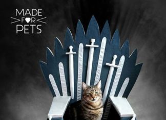 Designer Makes Iron Throne Pet Beds