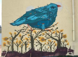 This Artist is Changing the Face of a City