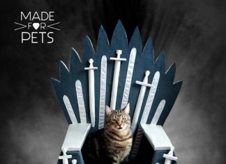 Check Out These Pet Beds Inspired By Game of Thrones