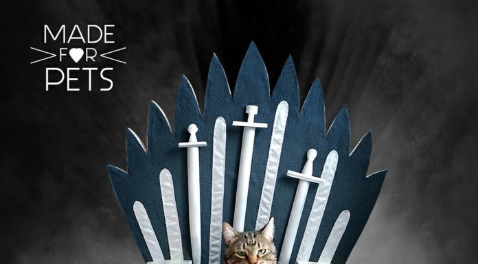 Check Out These Pet Beds Inspired By Game of Thrones
