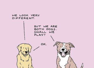 Drawings Of Dogs For Social Justice