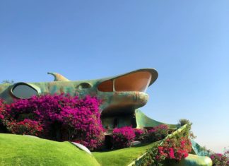 Mexican Bioarchitect Designs The Perfect Organic House