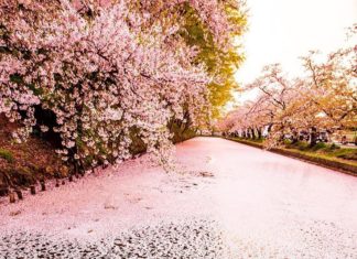 The Most Interesting Spring Traditions From All Over The World