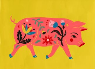 Sarah Walsh’s Illustrations Show the Beauty of Flowers, Animals and People