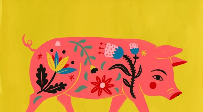 Sarah Walsh’s Illustrations Show the Beauty of Flowers, Animals and People