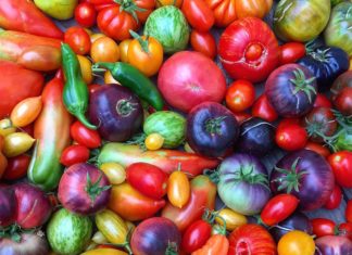 Organic Gardener Creates Colorful Designs with Produce