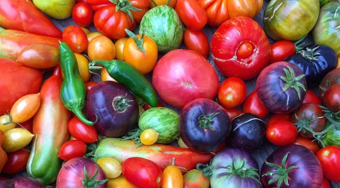 Organic Gardener Creates Colorful Designs with Produce