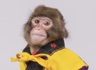 This is the Most Famous Journalist Headshot