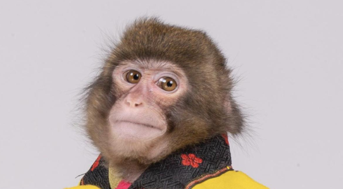 This is the Most Famous Journalist Headshot