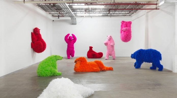 Playful Polar Bears By Paola Pivi Reminds us of Their Beauty