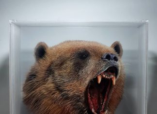 Artists Creates Unique Acrylic Plexiglass Paintings