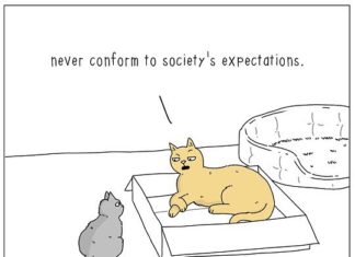 Jimmy Craig Shows Us What Animals Really Talk About
