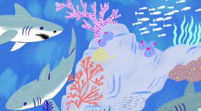 Sarah Walsh Makes Delightful Illustrations That Will Brighten Up Your Day