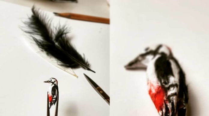 These Micro Birds Made with Polymer Clay Are Adorable