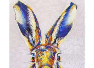 Colorful Wildlife According to Jen Starwalt