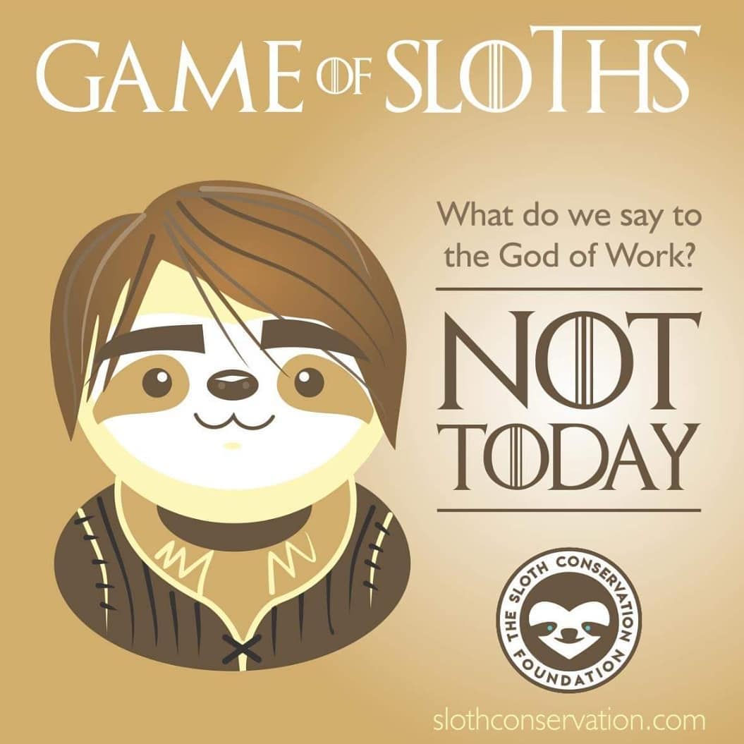 Sloth Check In Check Out These Adorable Characters From “Game of Sloths” - MobiSpirit