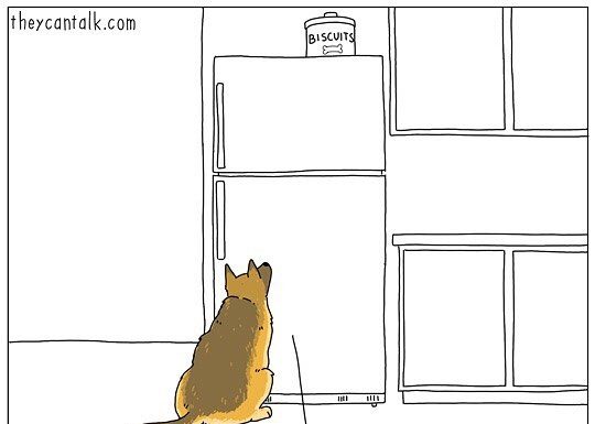 Artist Imagines What Animals Are Saying to Each Other