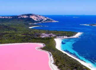 The Most Breath-Taking Pink Lake In The World