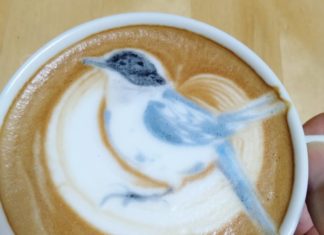 Japanese Artist Creates Beautiful Coffee Latte Art